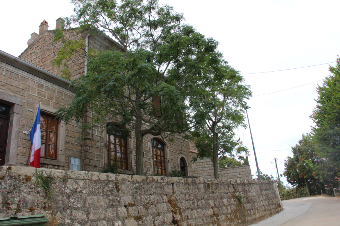 Bilia (Bilia) Bilia (Bilia)