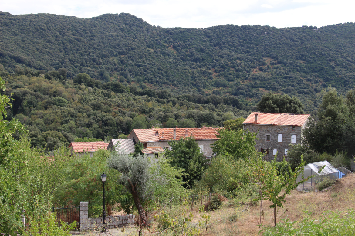 Cardo-Torgia (Cardu è Turghjà) Cardo-Torgia (Cardu è Turghjà)