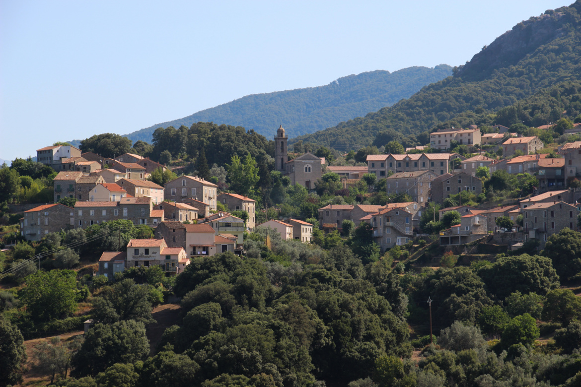 Olivese (Livesi) Olivese (Livesi)