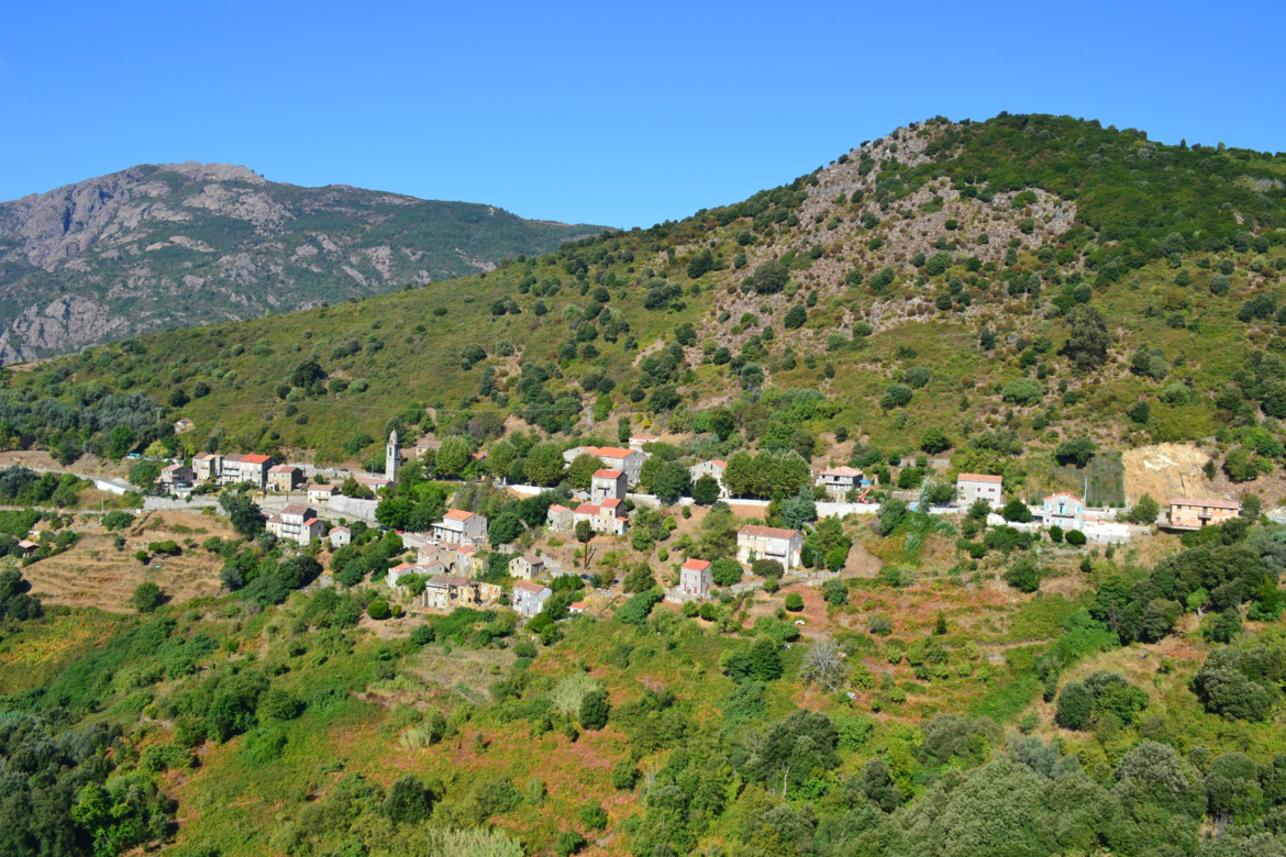 Cargiaca (Carghjaca) Cargiaca (Carghjaca)