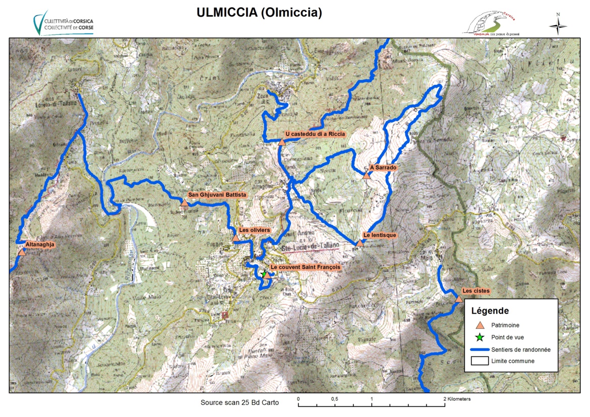 Olmiccia (Ulmiccia) Olmiccia (Ulmiccia)