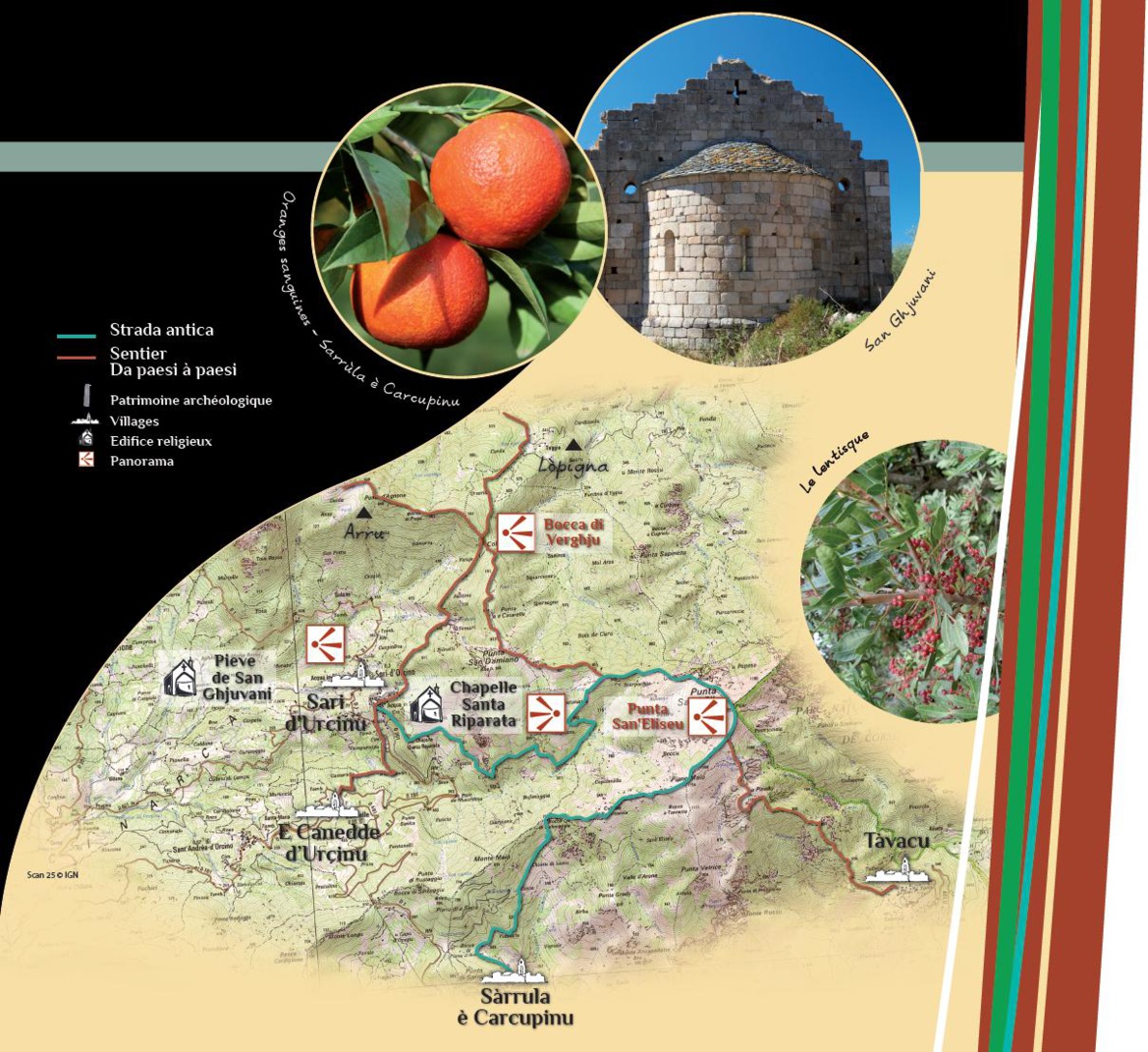 Strada Antica Da u Cèlavu à a Cinarca - Sarrula/Sari d'Urcinu
