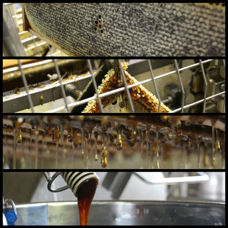 Apiculture et miel Apiculture et miel