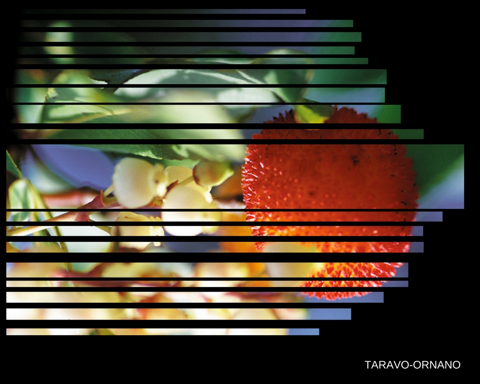 Espaces Naturels Sensibles Taravo-Ornano