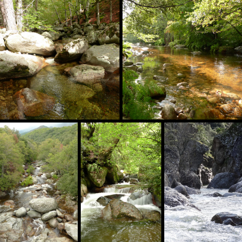 La vallée du Taravu