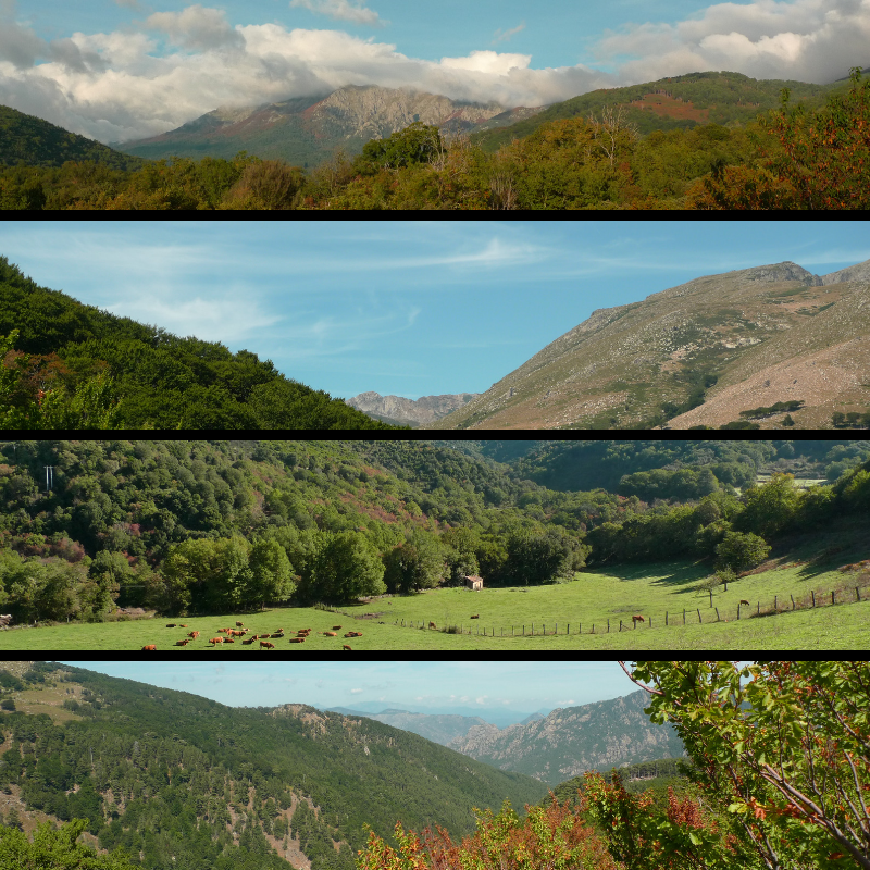 La vallée du Taravu