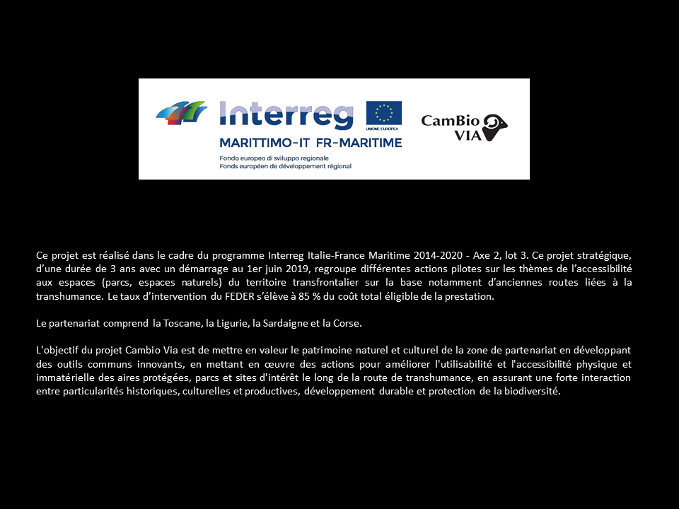 Projet Cambio Via