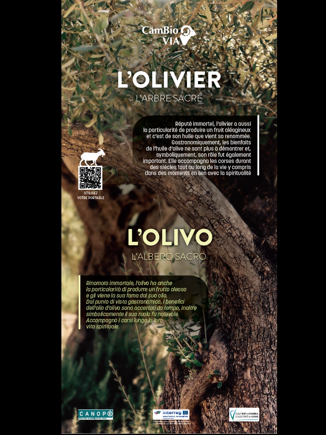 Una strada Una strada