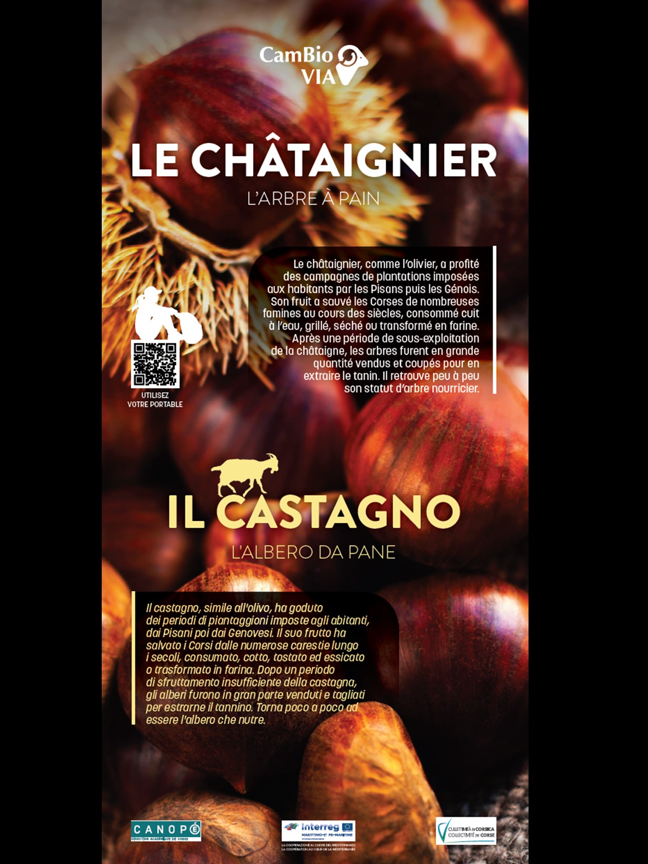 Una strada Una strada