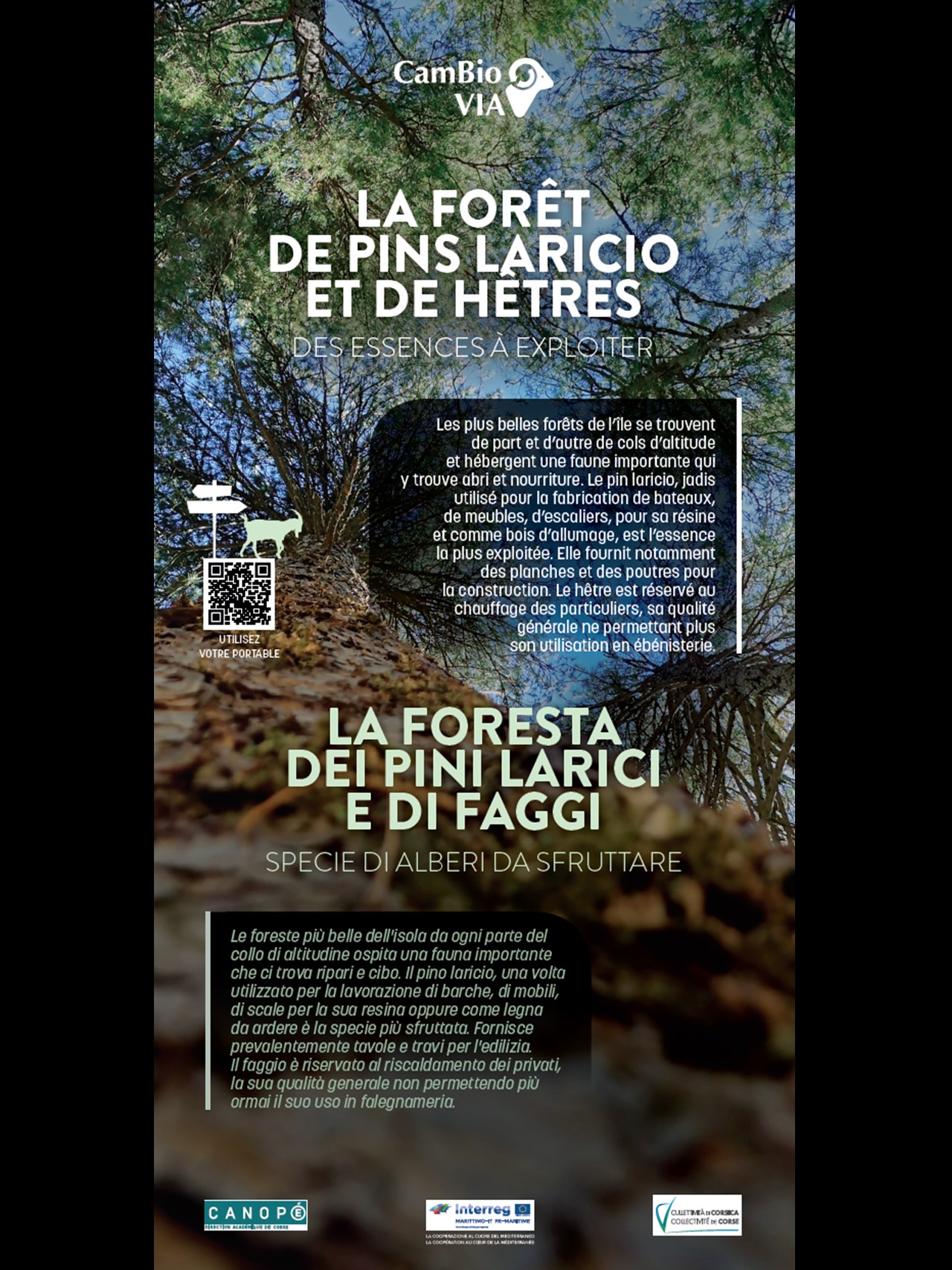 Una strada Una strada