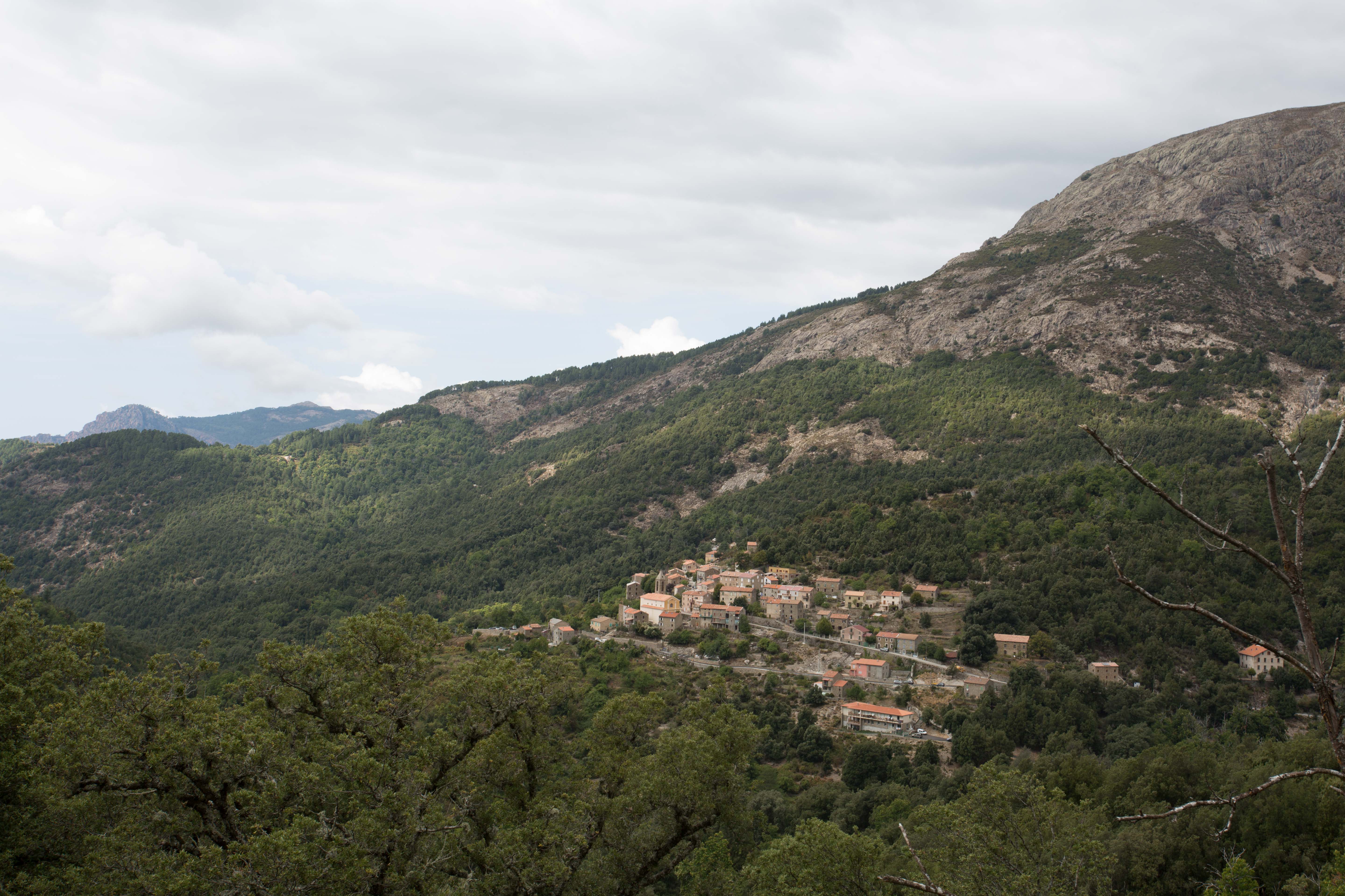 Cristinacce (E Cristinacce)
