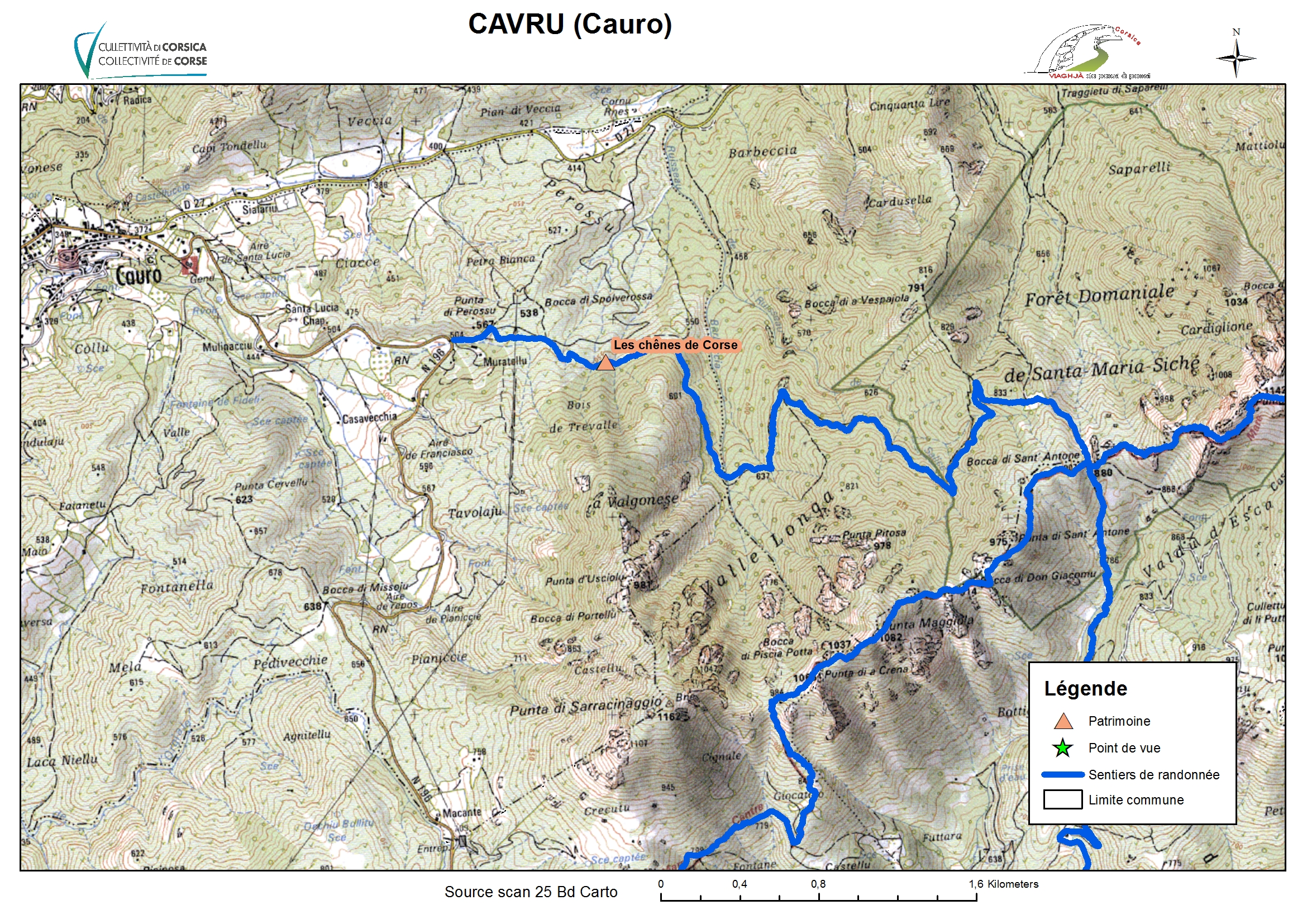 Cauro (Cavru)