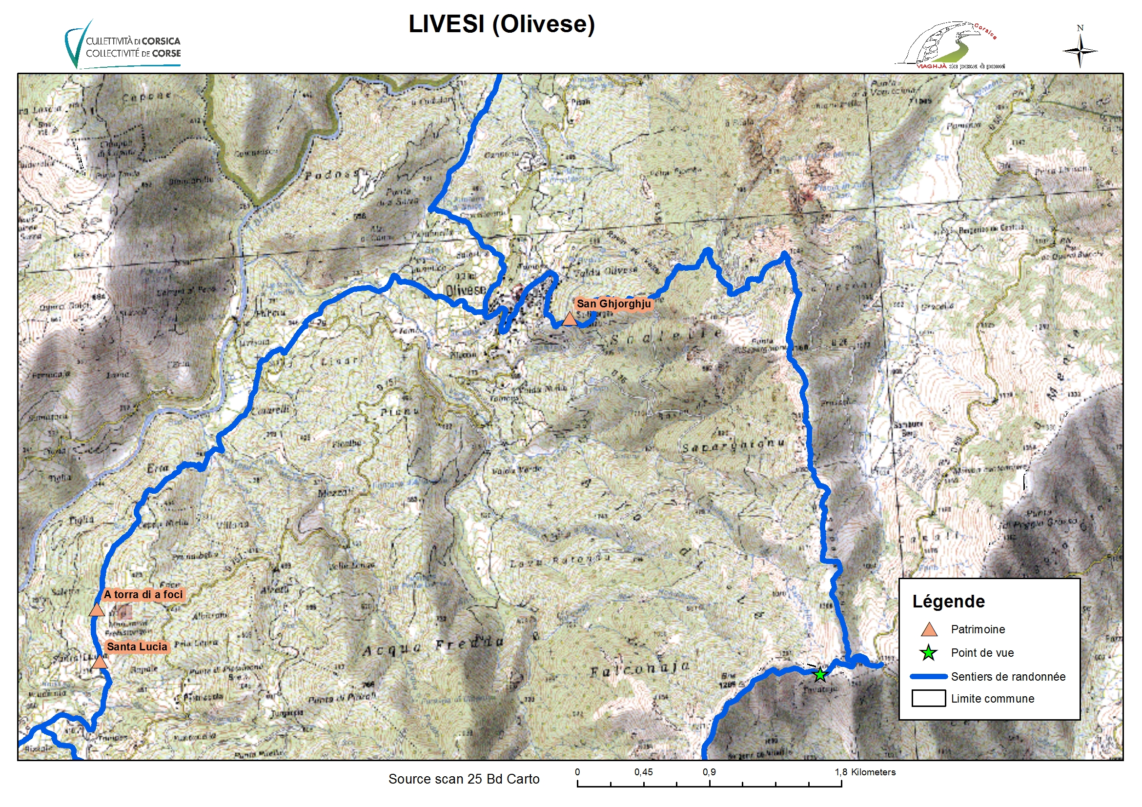 Olivese (Livesi)