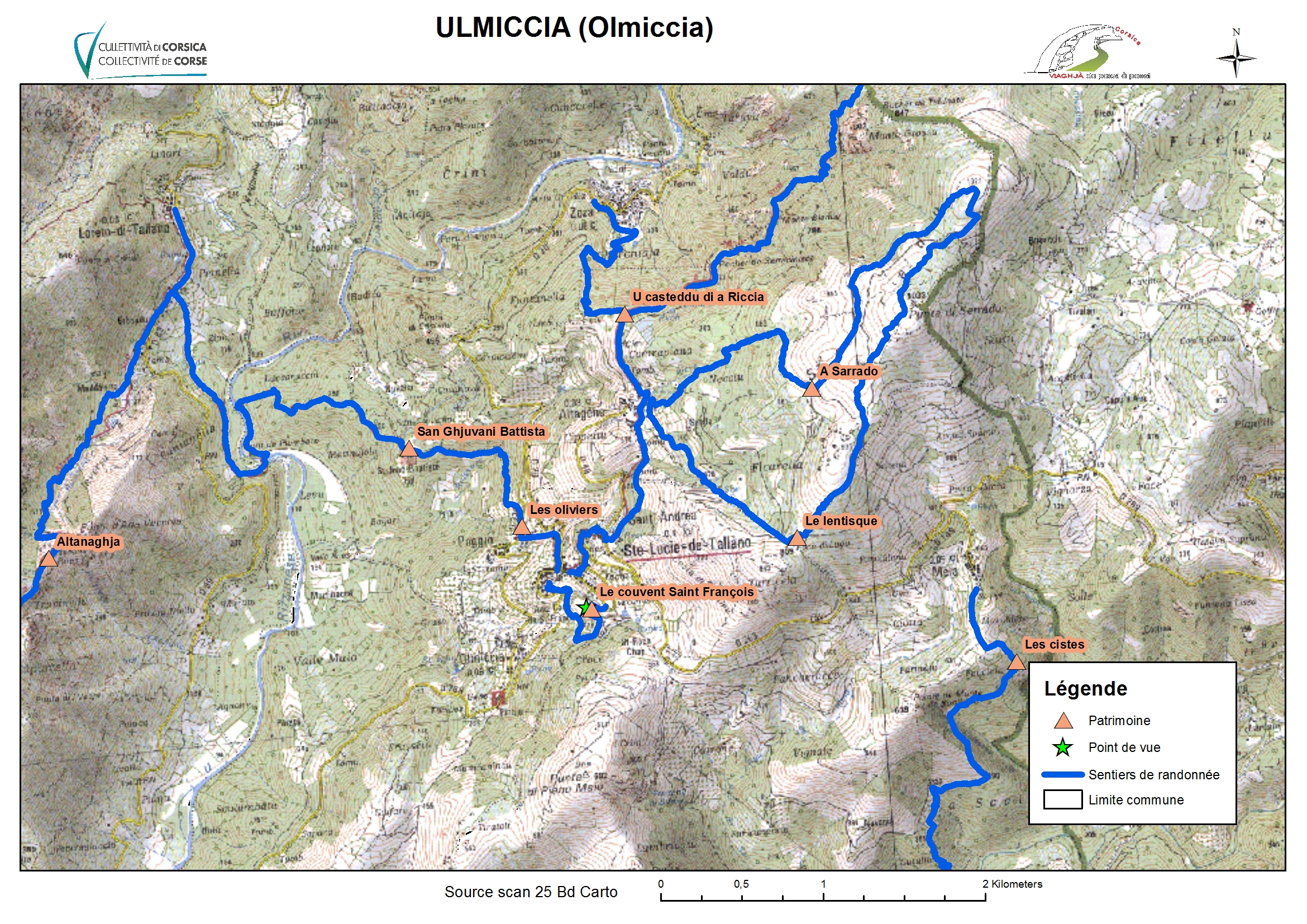 Olmiccia (Ulmiccia) 