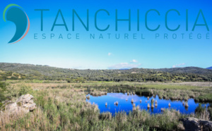 Étang de Tanchiccia