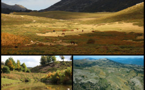 le plateau du Cuscionu