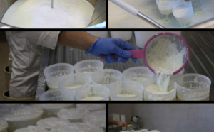 Production Fromagère