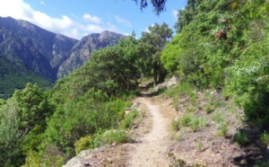 Le Plan départemental des itinéraires de promenade et de randonnée (PDIPR) : l'expérience sur le territoire de la Corse du Sud