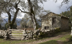 Strada Antica A Gravona - Carbuccia/Vizzavona