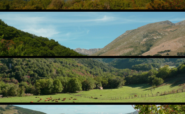 La vallée du Taravu