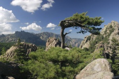 Strada Antica da a muntagna à a piaghja - Auddé/Porti Vechju