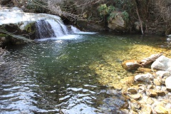 Strada Antica Da a Rocca à l'Alta Rocca - Ulmetu/A Sarra di Scopamena