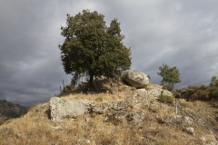 Strada Antica Da Rennu à  Guagnu - Rennu / Guagnu