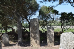 Plateau de Cauria