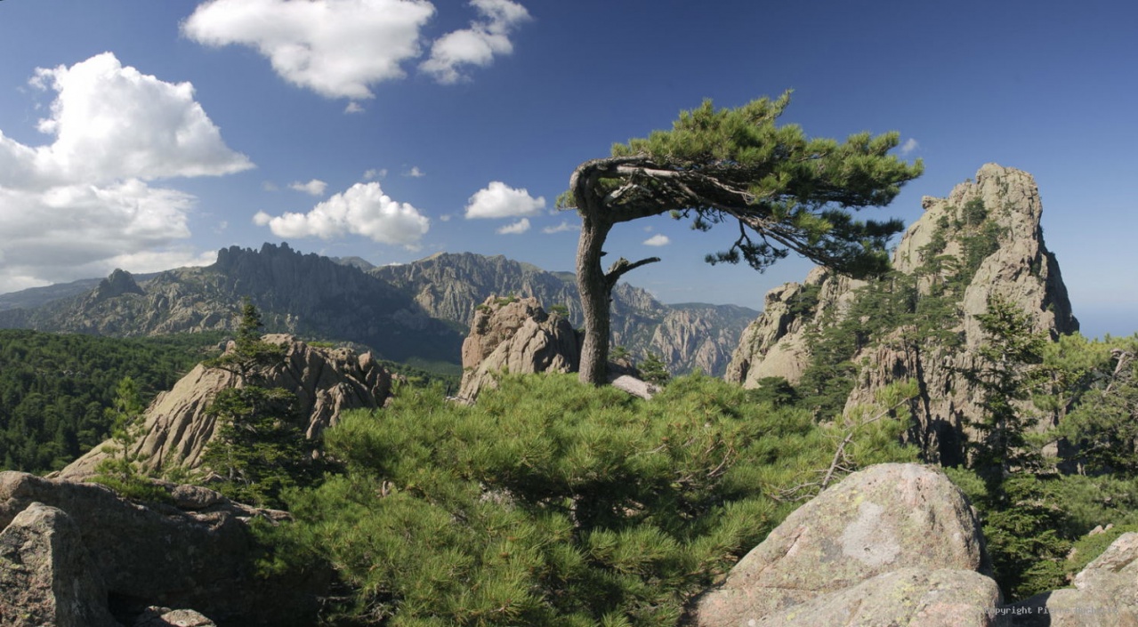 Strada Antica da a muntagna à a piaghja - Auddé/Porti Vechju