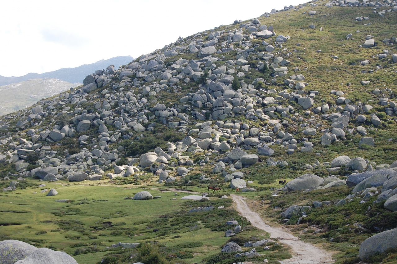 Strada Antica da a muntagna à a piaghja -  Auddé/Porti Vechju