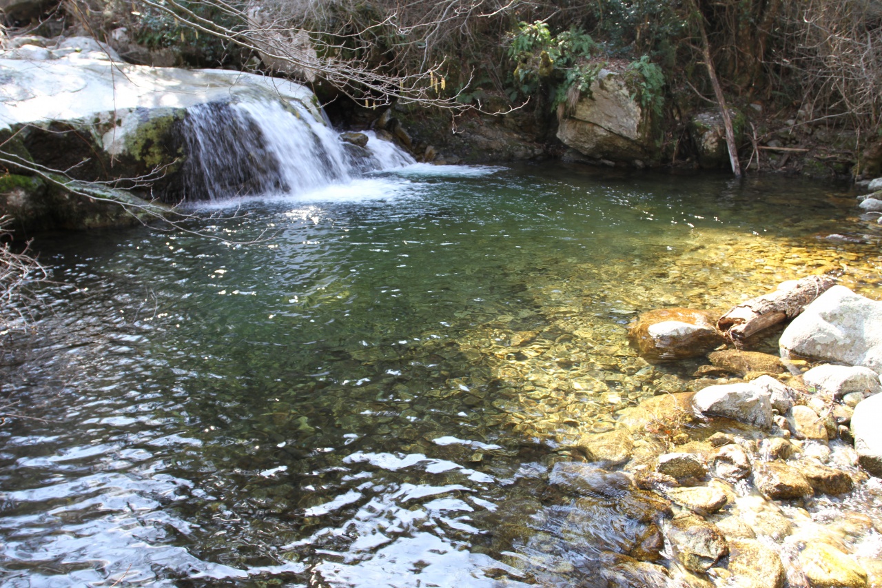 Strada Antica Da a Rocca à l'Alta Rocca - Ulmetu/A Sarra di Scopamena