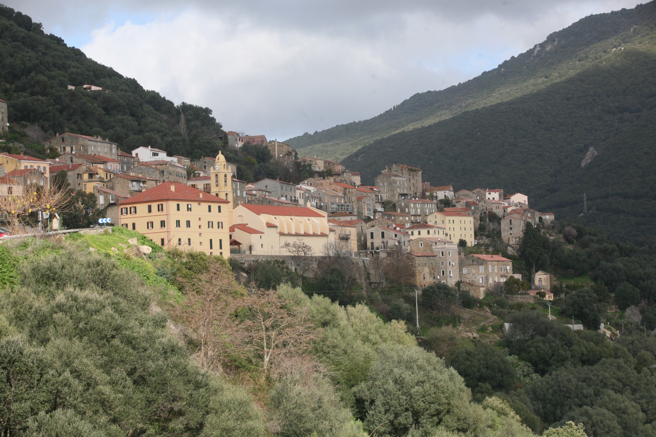 Strada Antica Da a Rocca à l'Alta Rocca - Ulmetu/A Sarra di Scopamena