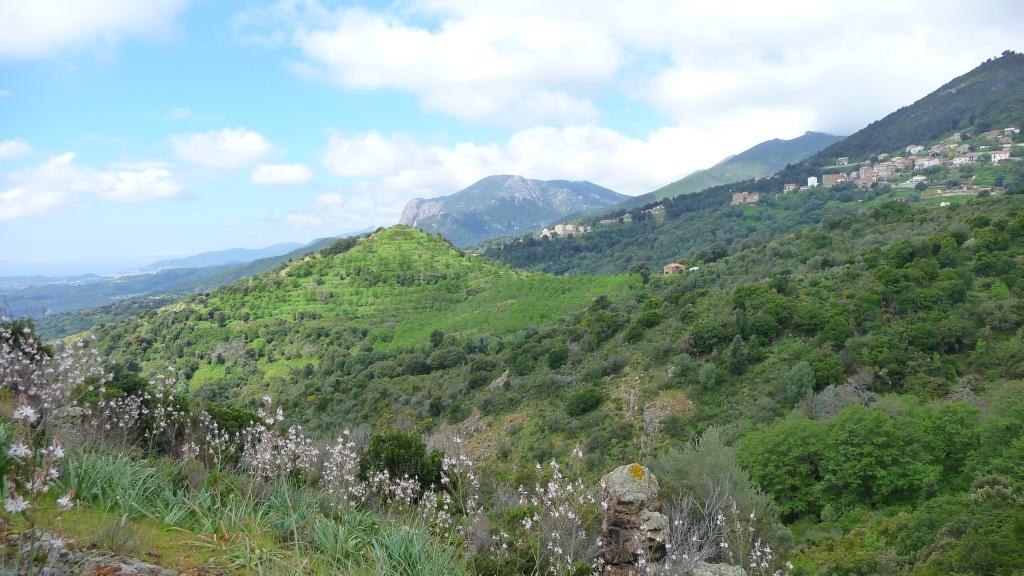Strada Antica Da u Cèlavu à a Cinarca - Sarrula/Sari d'Urcinu