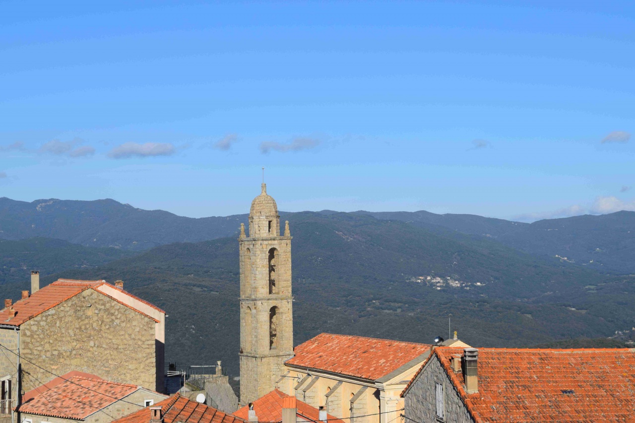 PetretoBicchisano (Pitretu è Bicchisgià)