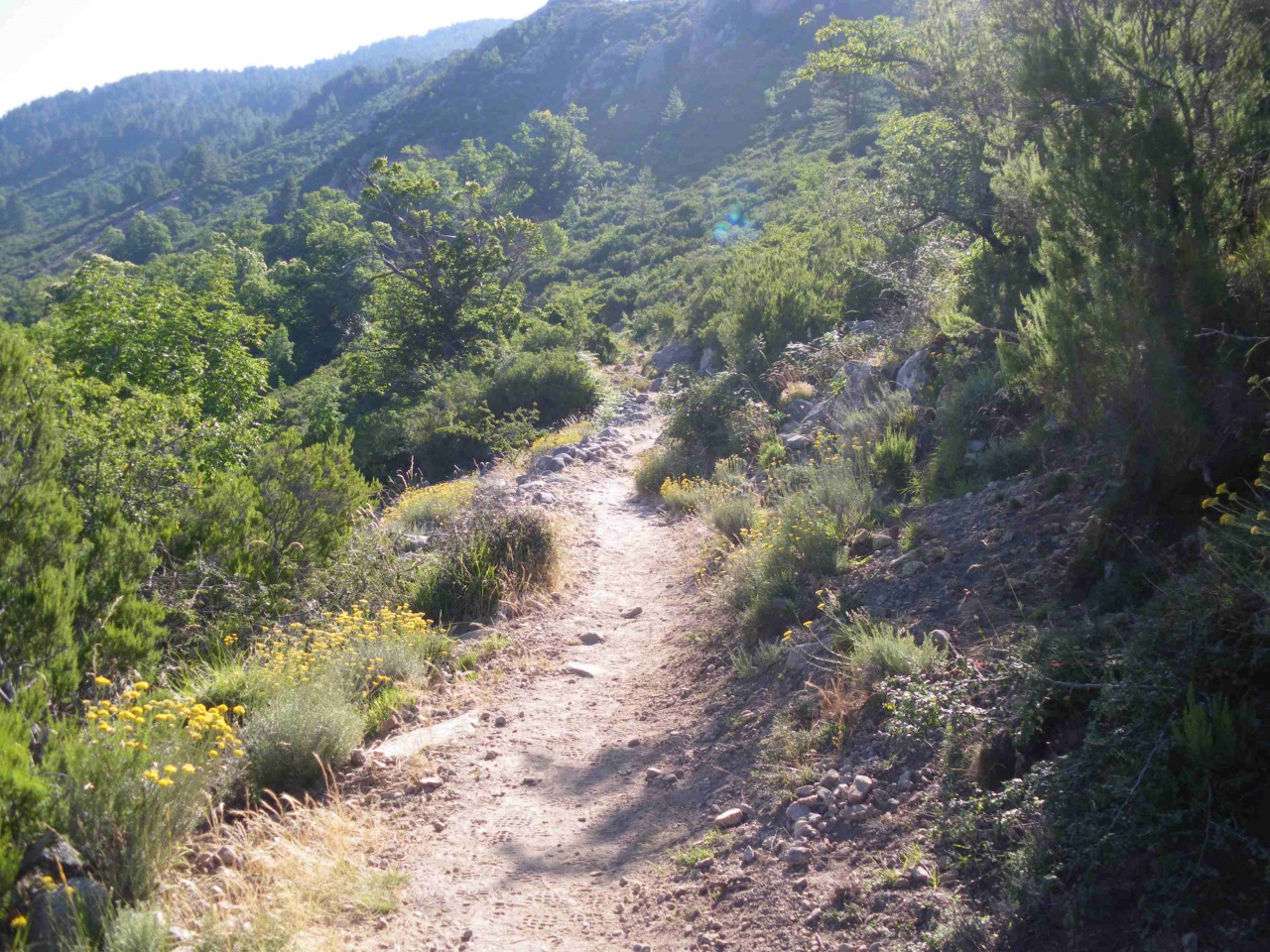 Soccia Lac de Creno